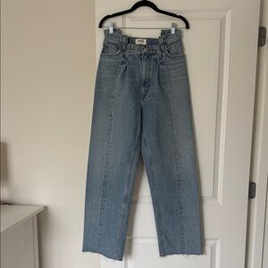 AGOLDE Barrel Leg Denim - Unique